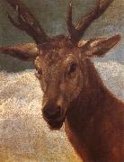 VELAZQUEZ, Diego Rodriguez de Silva y Deer painting